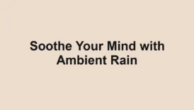 Soothe Your Mind with Ambient Rain