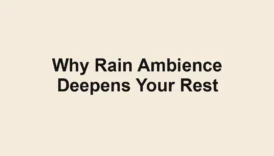 Why Rain Ambience Deepens Your Rest